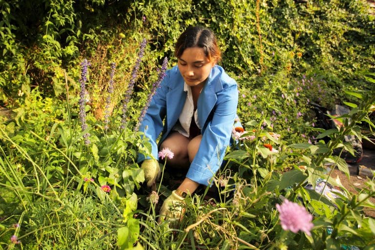 Woman gardening