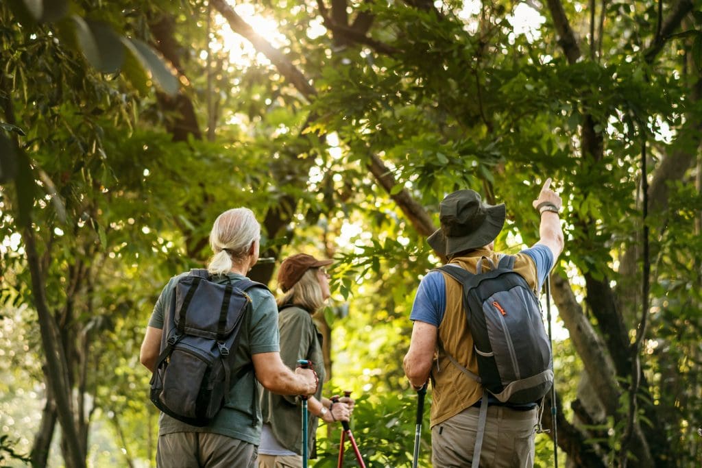 Birdwatchers in wood