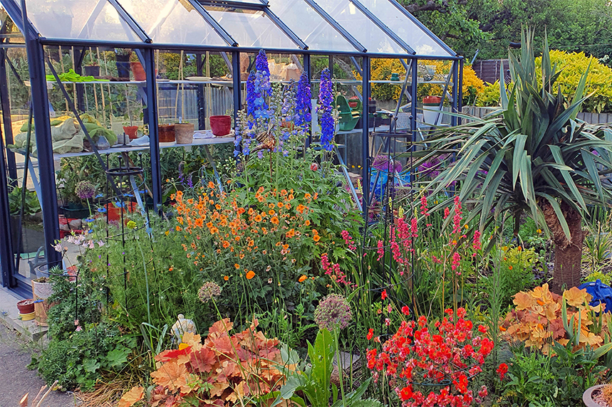 Greenhouse and flowers