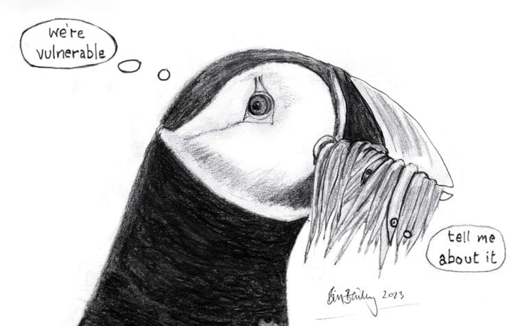 Illustration of Puffin eating Sandeels. The puffin is thinking "We're vulnerable" while the Sandeels are thinking "Tell me about it"