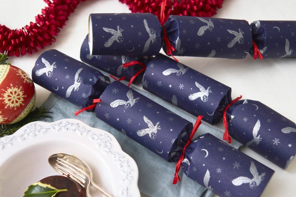 RSPB owl-themed Christmas crackers