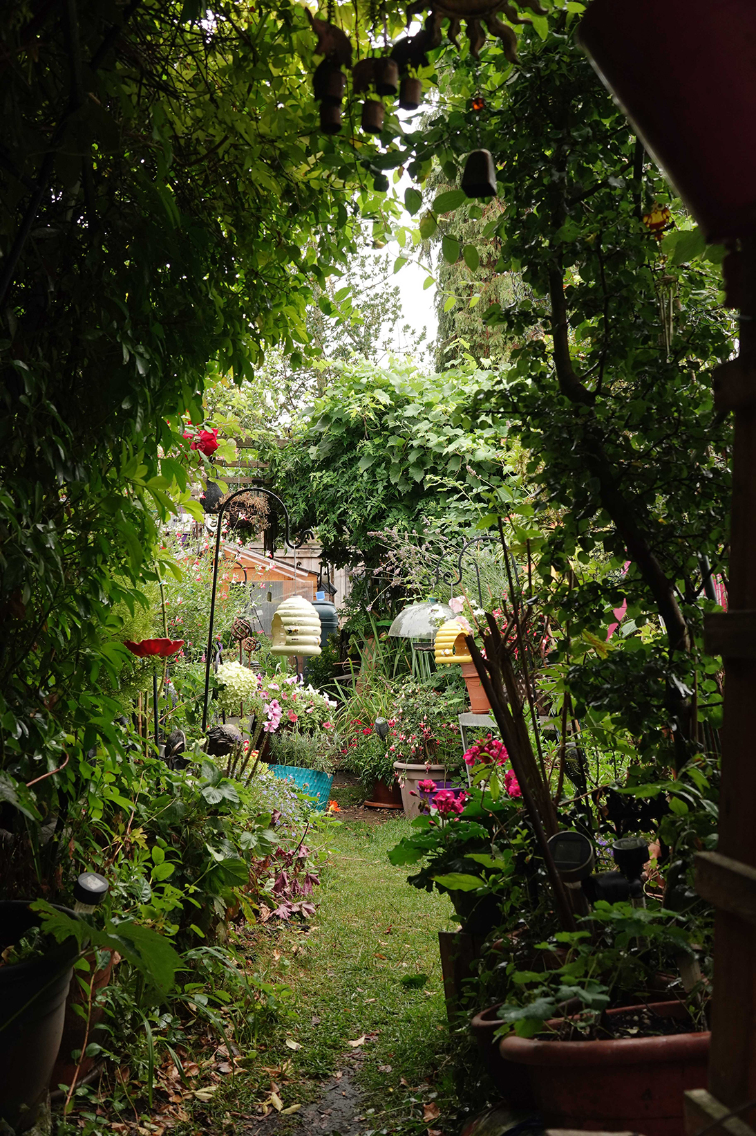 Beehive bird feeders in garden.