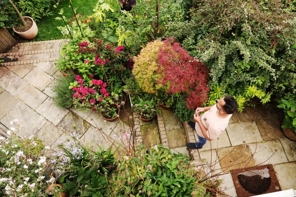 Aerial view of garden