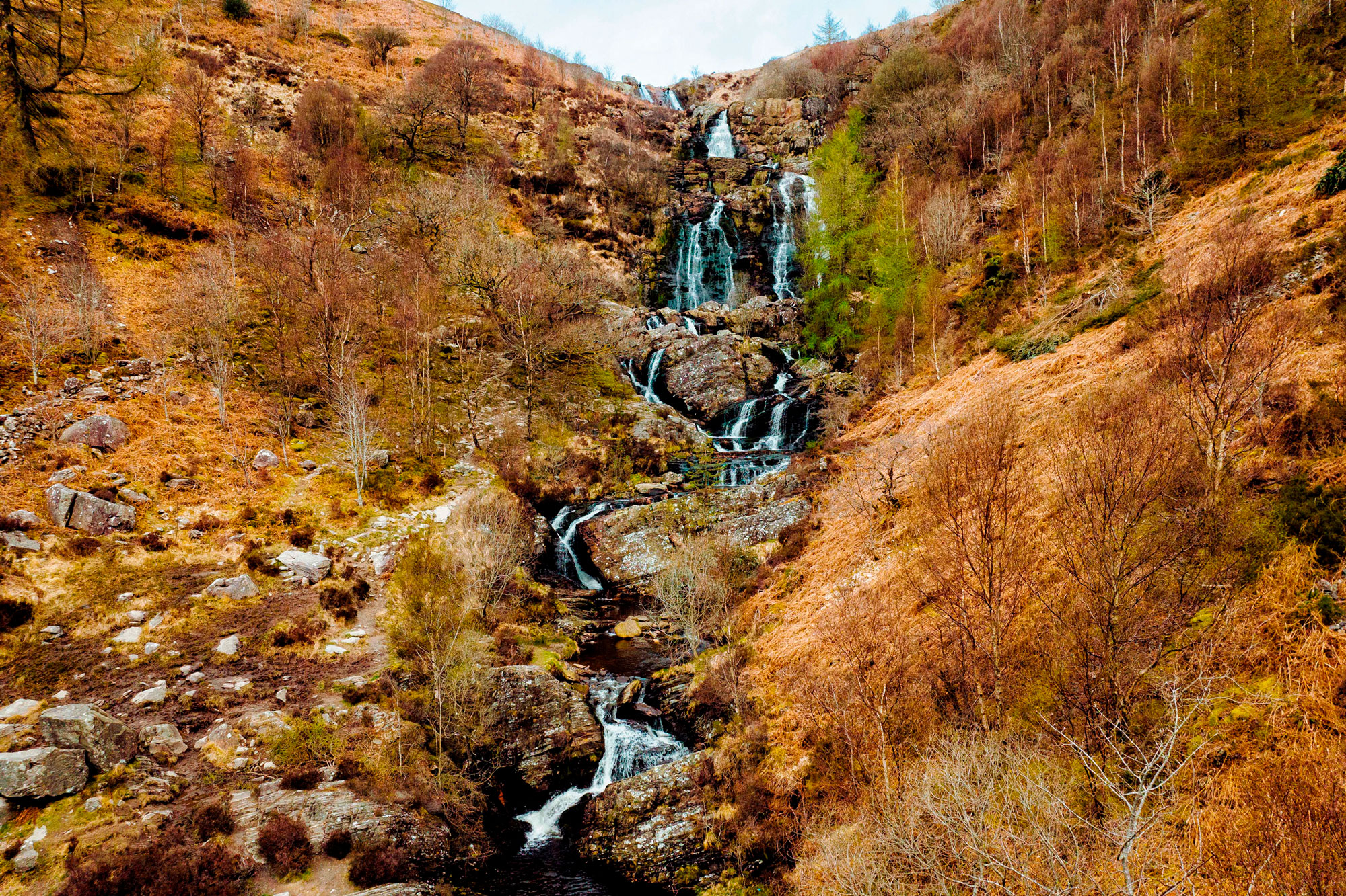 Waterfall surrounded by bracken