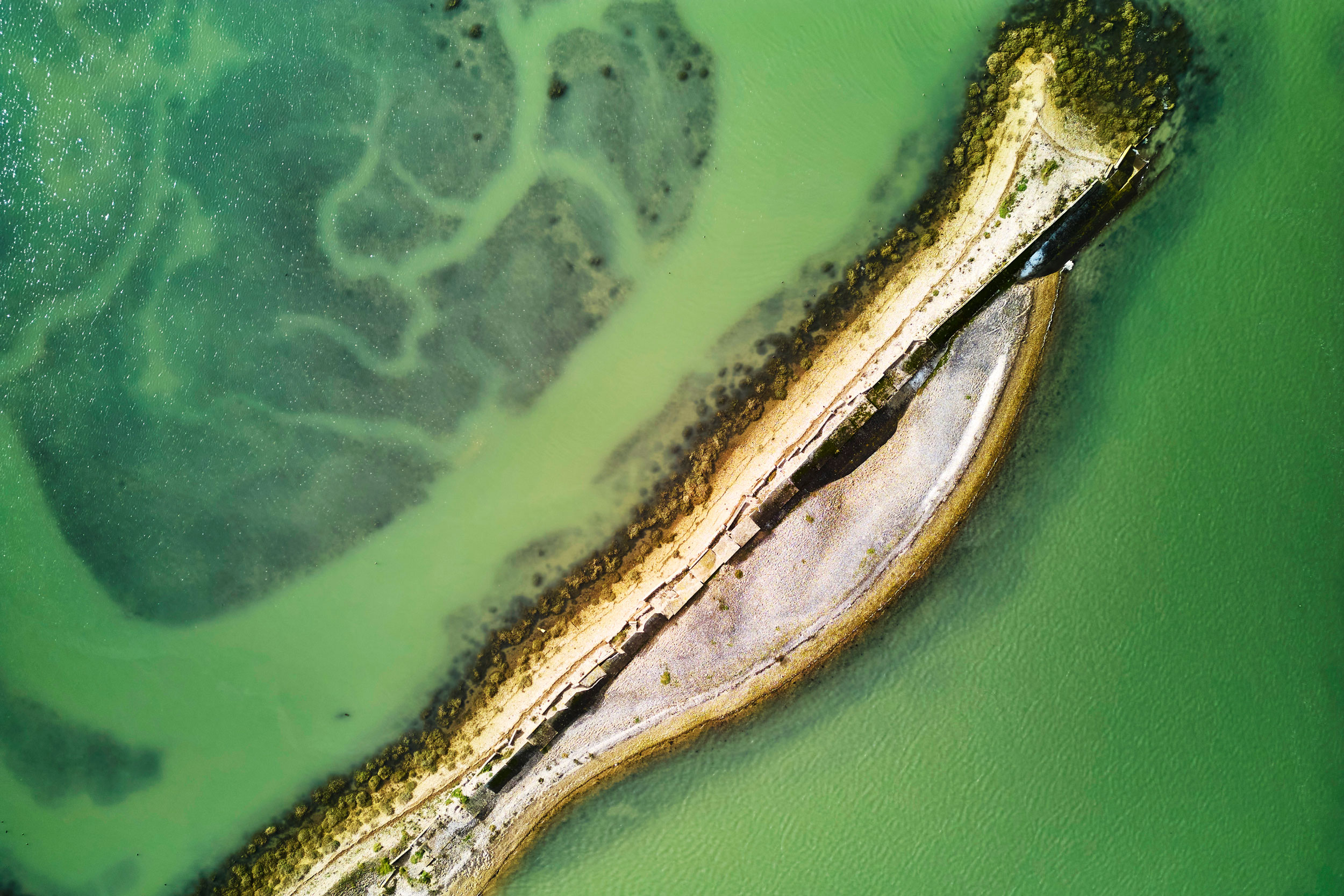 Saltmarsh and mudflats, lagoons, reedbeds, farmland and shingle beach all make up Pagham Harbour.