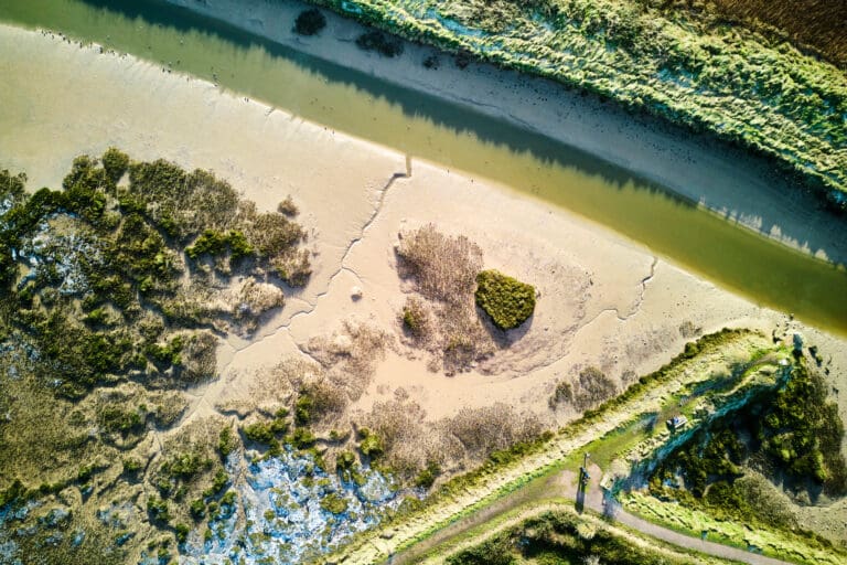 Pagham Harbour’s Ferry Channel.