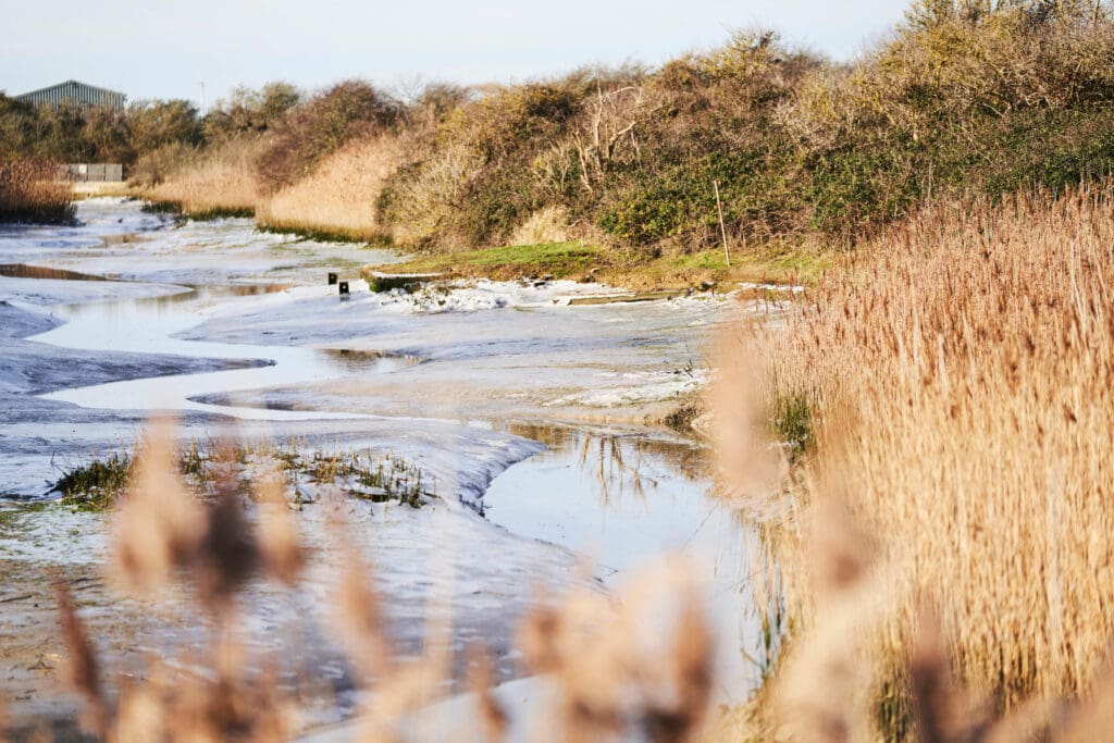 The Red Barn Ditch at Pagham Harbour.