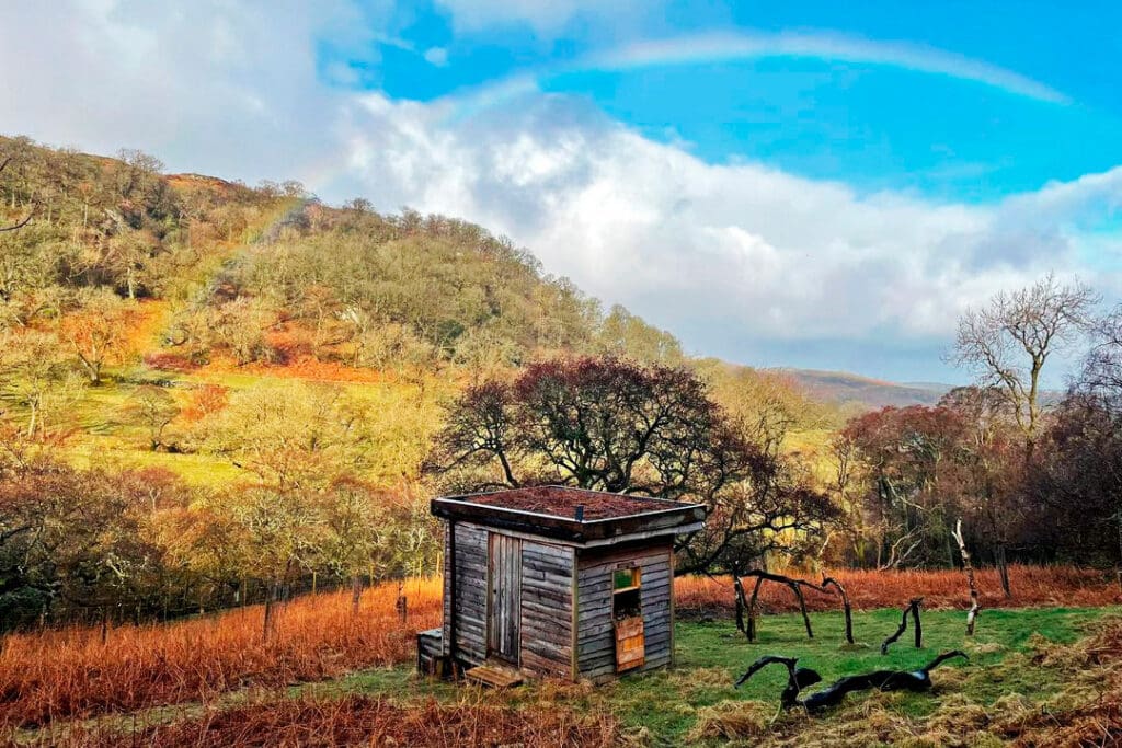 Woodland Wildlife hide