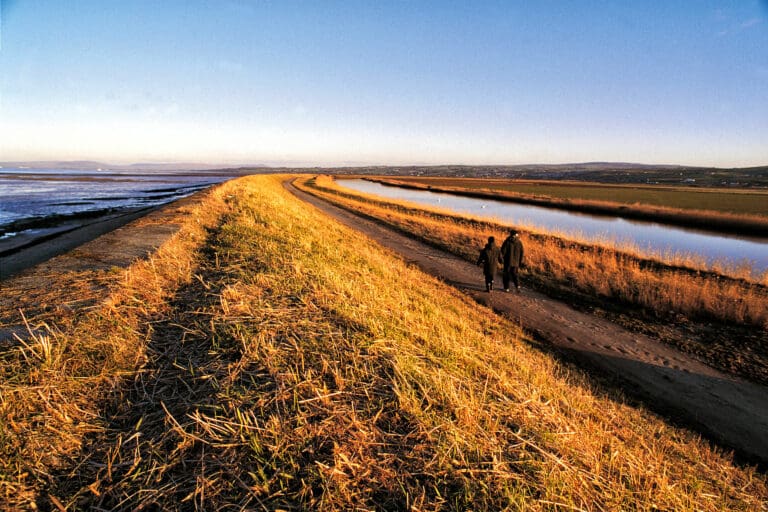 RSPB Lough Foyle.