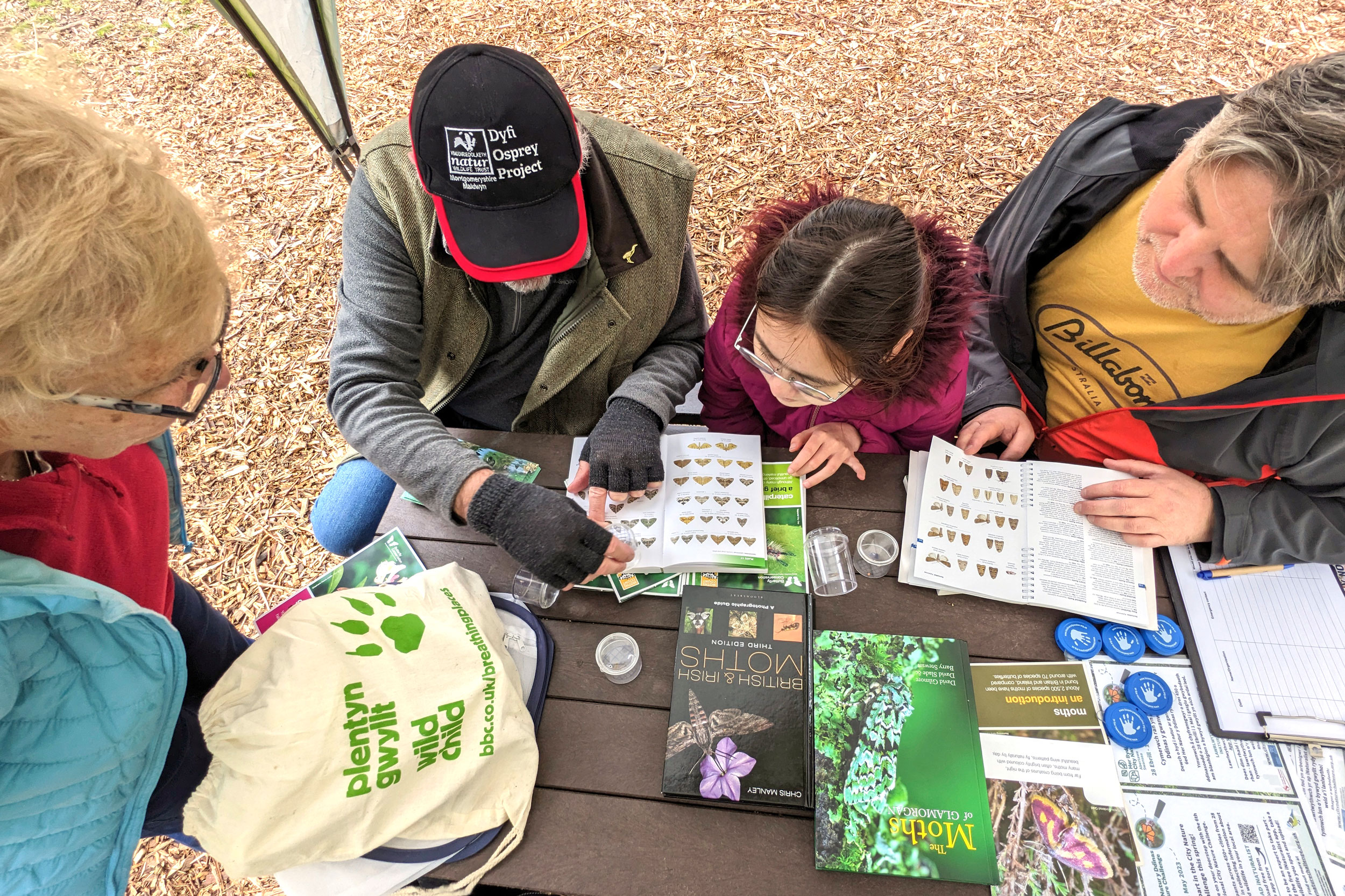 People inspecting moth traps