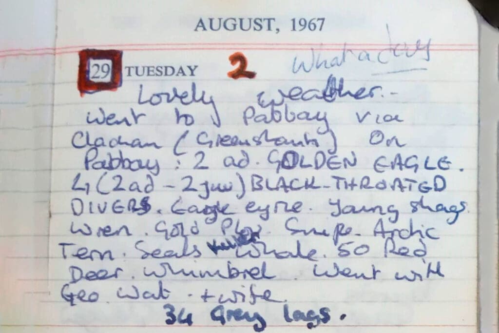 An image of a diary entry, noting bird observations, from 29 August 1967. In the top right hand corner the diarist has written 'What a day'.