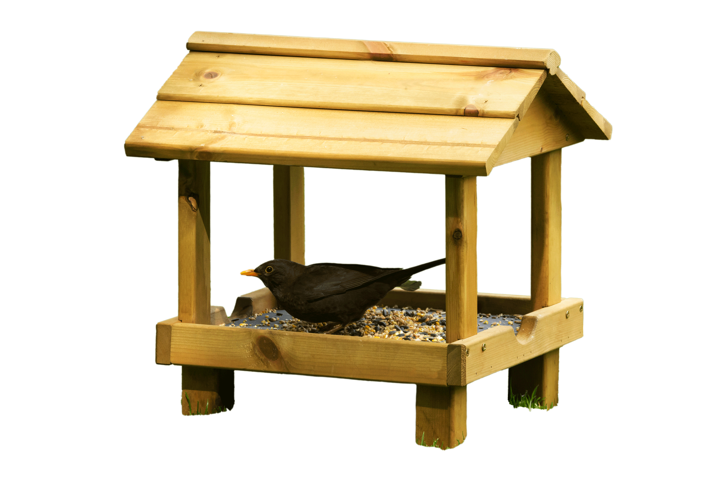 A ground bird feeding table