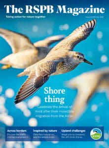 The RSPB Magazine, issue 207 Autumn/Winter 2024 cover