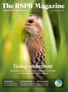 The RSPB Magazine Summer/Autumn 2026 with Corncrake close up on the cover