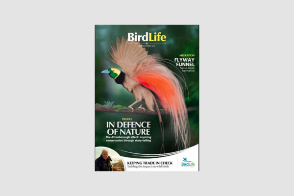 The front cover of BirdLife magazine showing a colourful tropical bird.