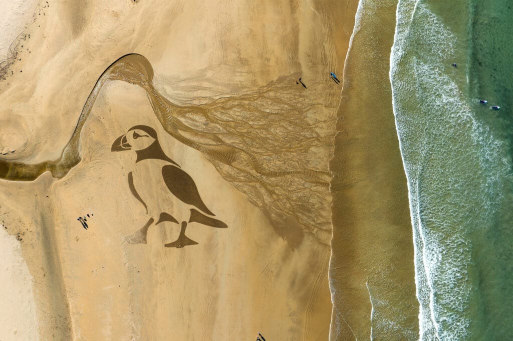 Aerial photo of a large drawing of a bird on a sandy beach.