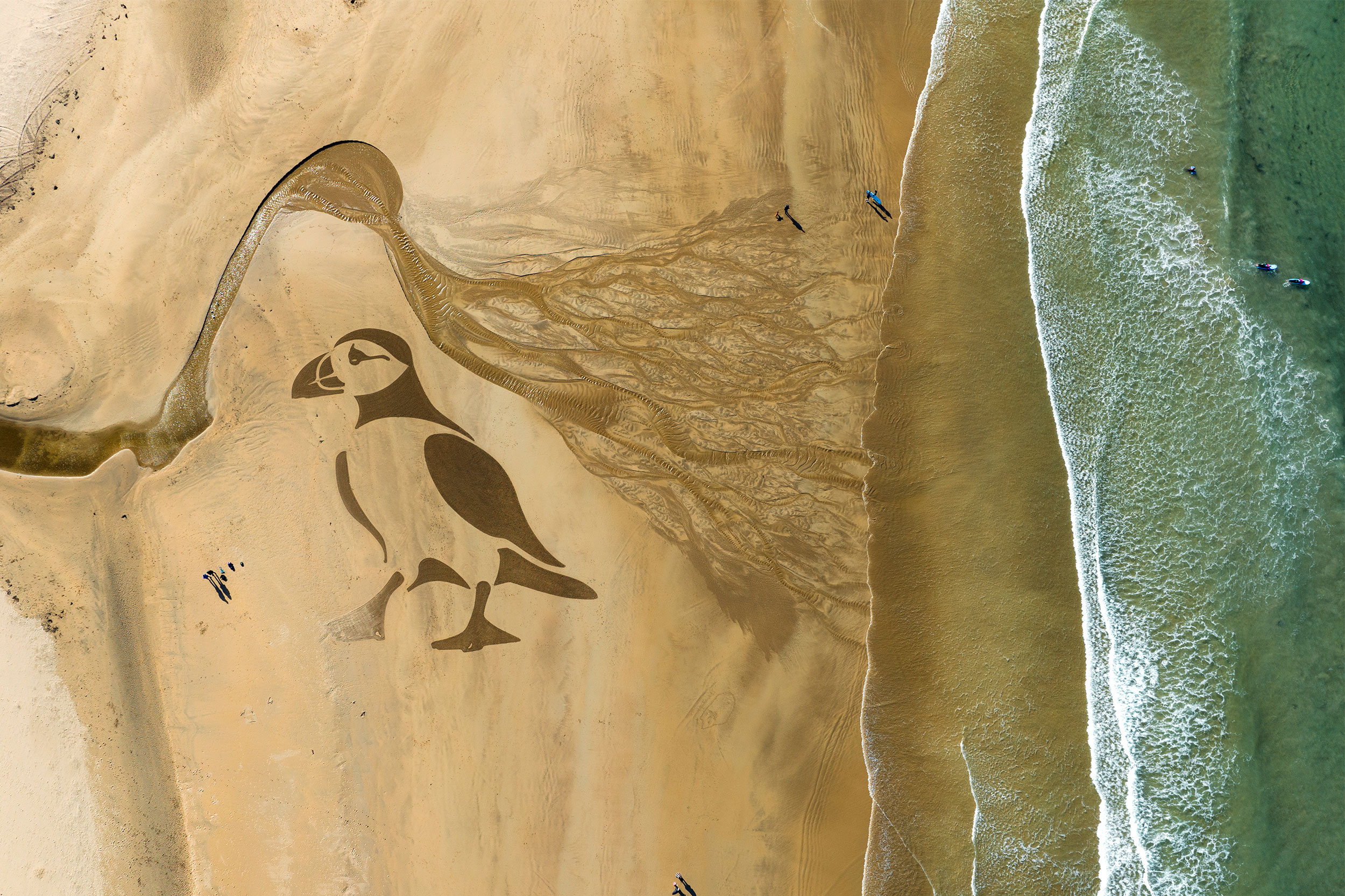 Aerial photo of a large drawing of a bird on a sandy beach.