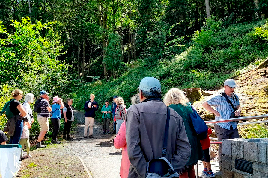 Guided walk and bioblitz at Llanbedrog