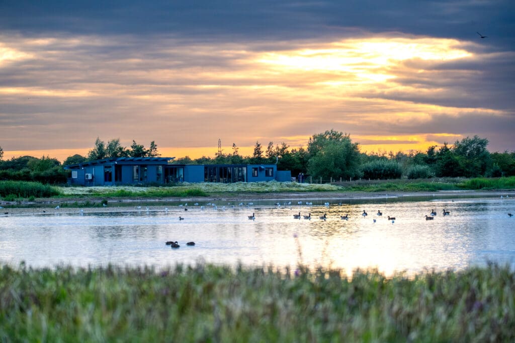 RSPB Frampton Marsh