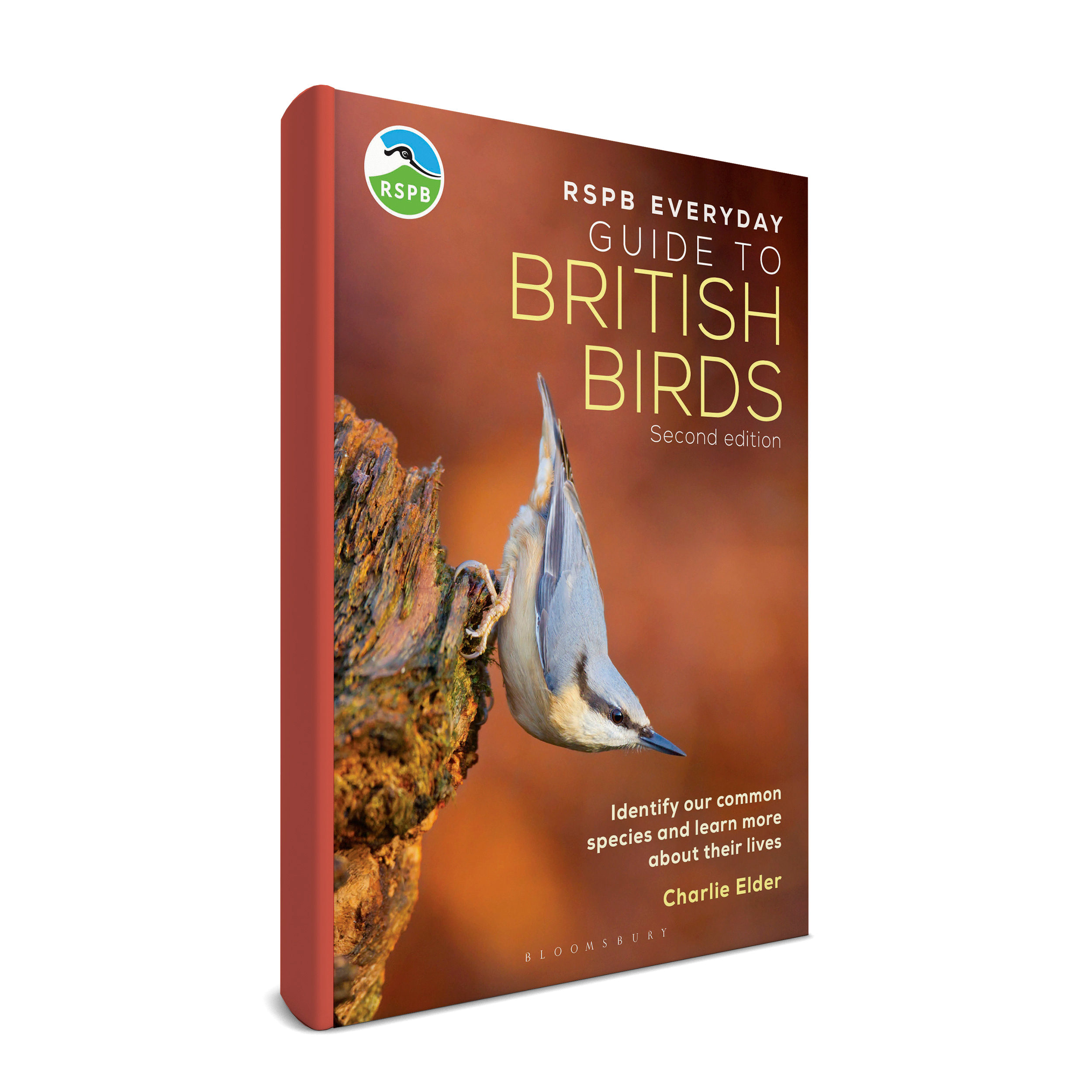 RSPB Guide to British Birds