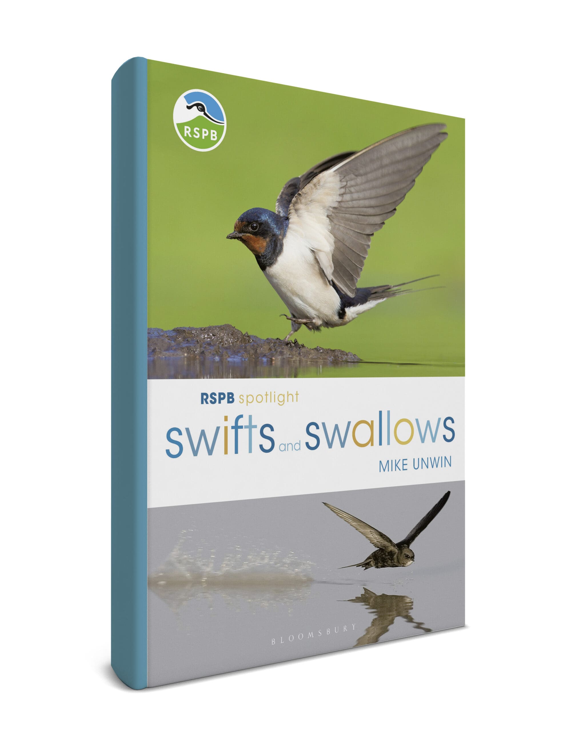 RSPB Spotlight Swifts and Swallows