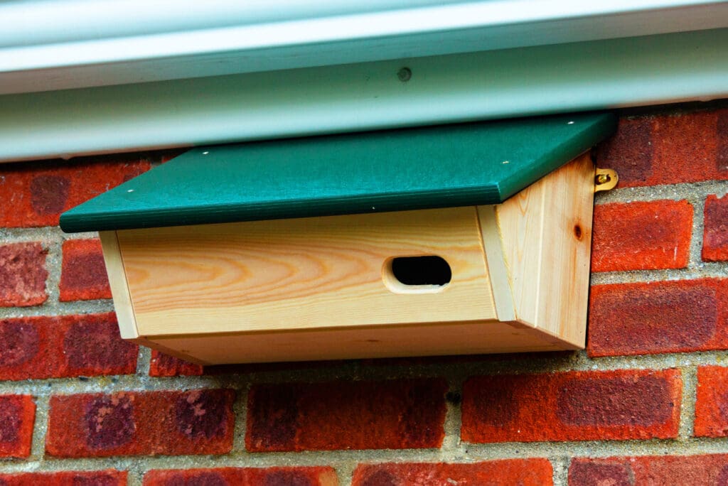 Swift nest box