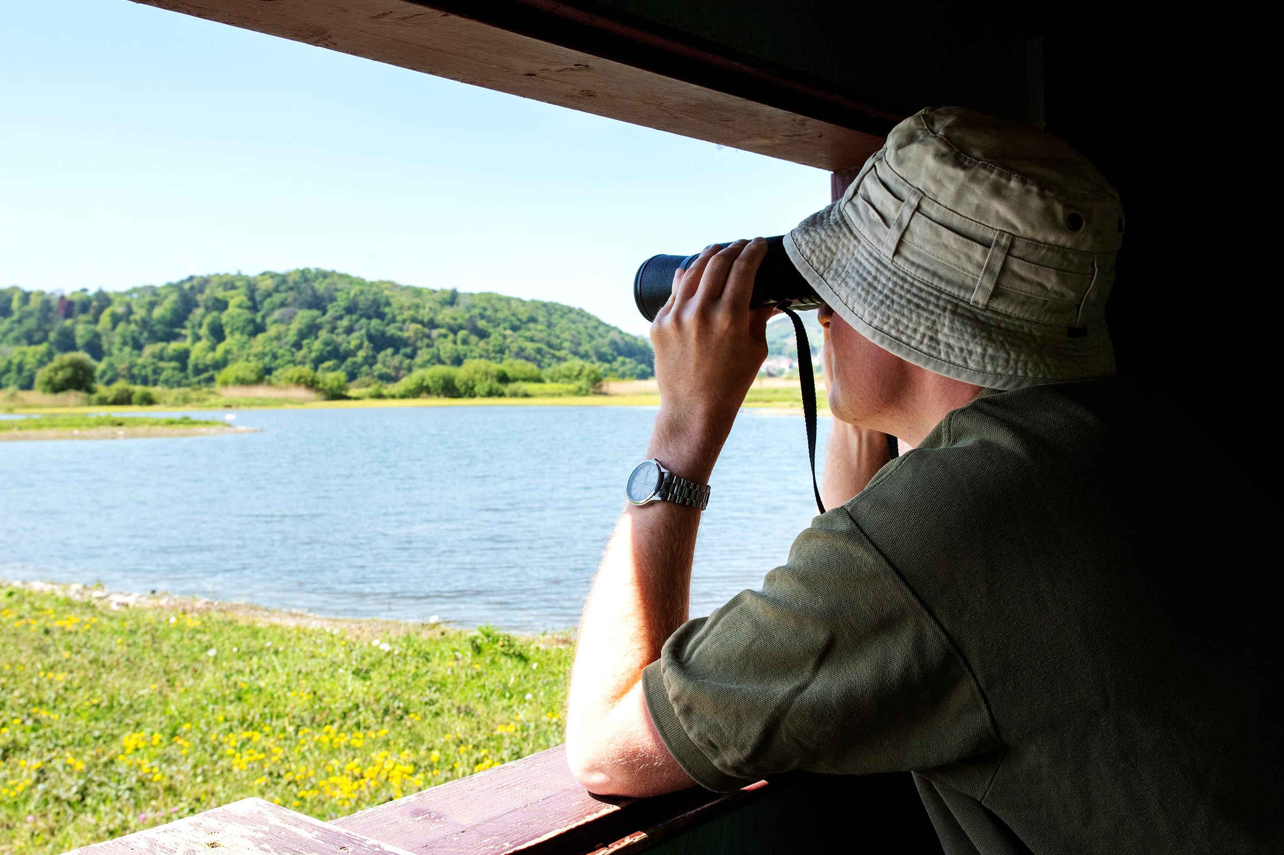 A male birdwatcher in a hide looks out of the window through binoculars