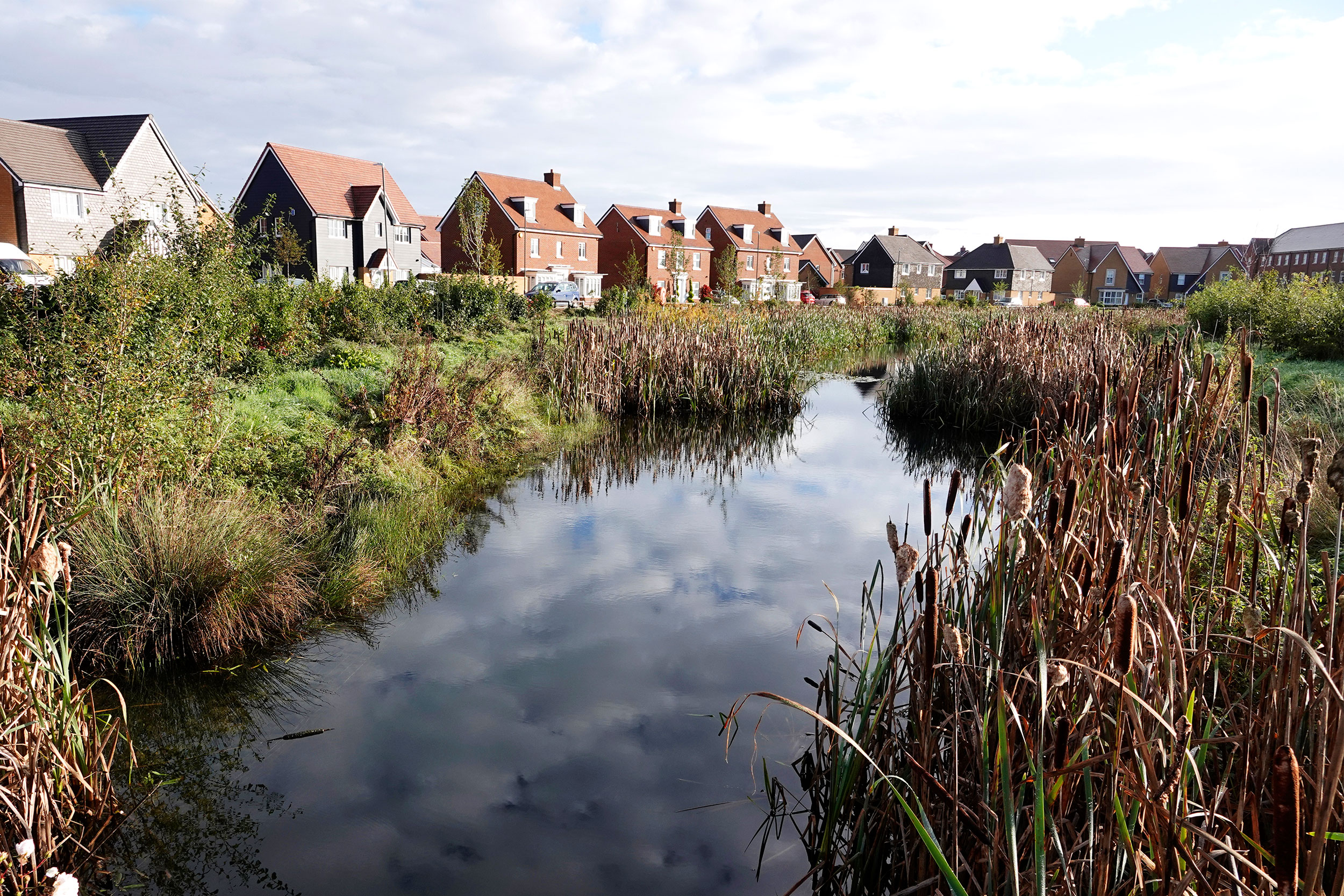 Wildlife is thriving among the houses at Kingsbrook