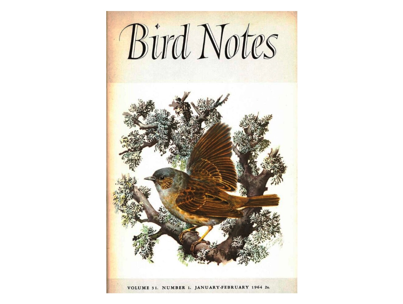 The cover of Bird Notes magazine