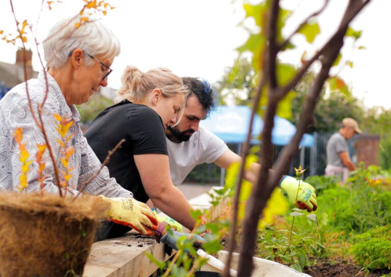 Volunteer gardeners tend to a raised flowerbed