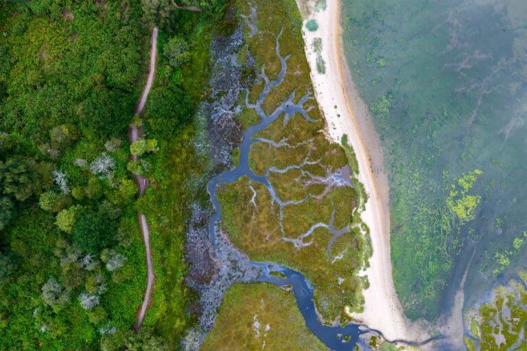 Arne nature reserve from above