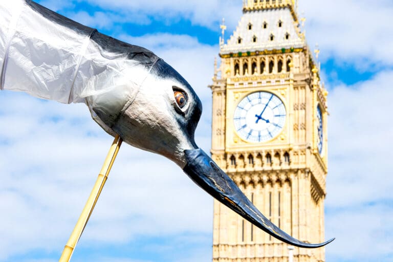 The head of a huge black and white bird puppet wit an upcurved beak in front of Big Ben, London