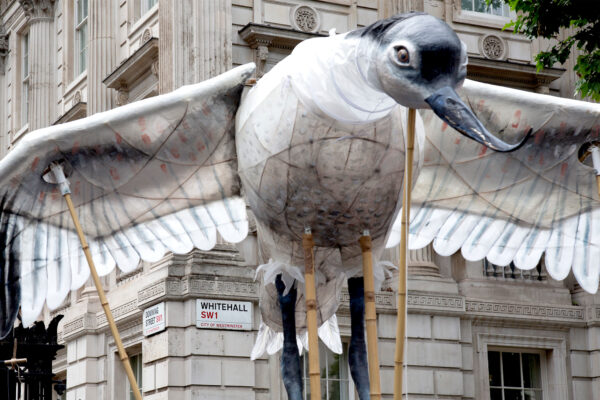 A giant puppet of a black and white bird with an upcurved bill being held aloft in front of Whitehall, London