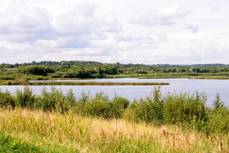 St Aidan’s nature reserve