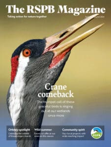 The RSPB Magazine issue Summer/Autumn