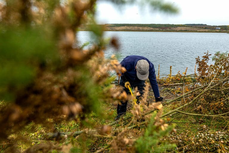 An RSPB volunteer sawing a branch. Photo: Rosie Dutton (rspb-images.com)