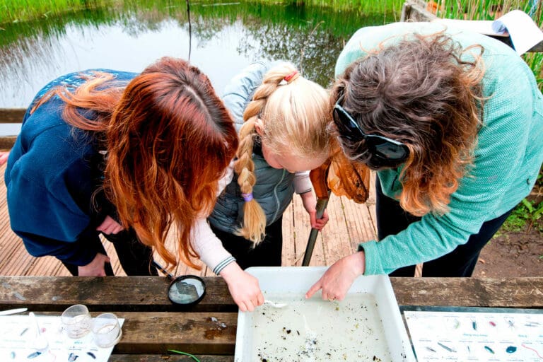 Families enjoying an event at an RSPB nature reserve