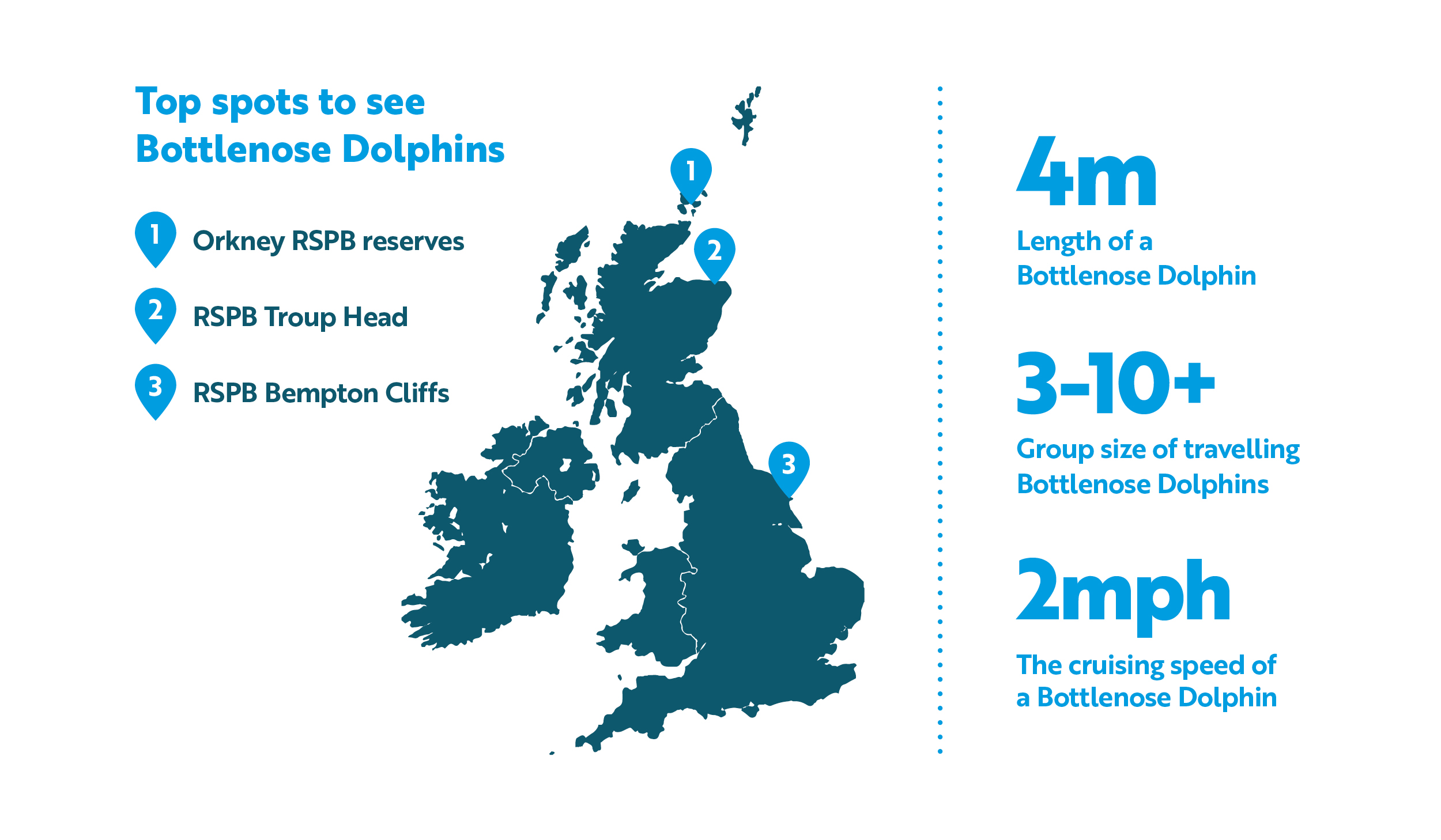 bottle nose dolphin stats 2024