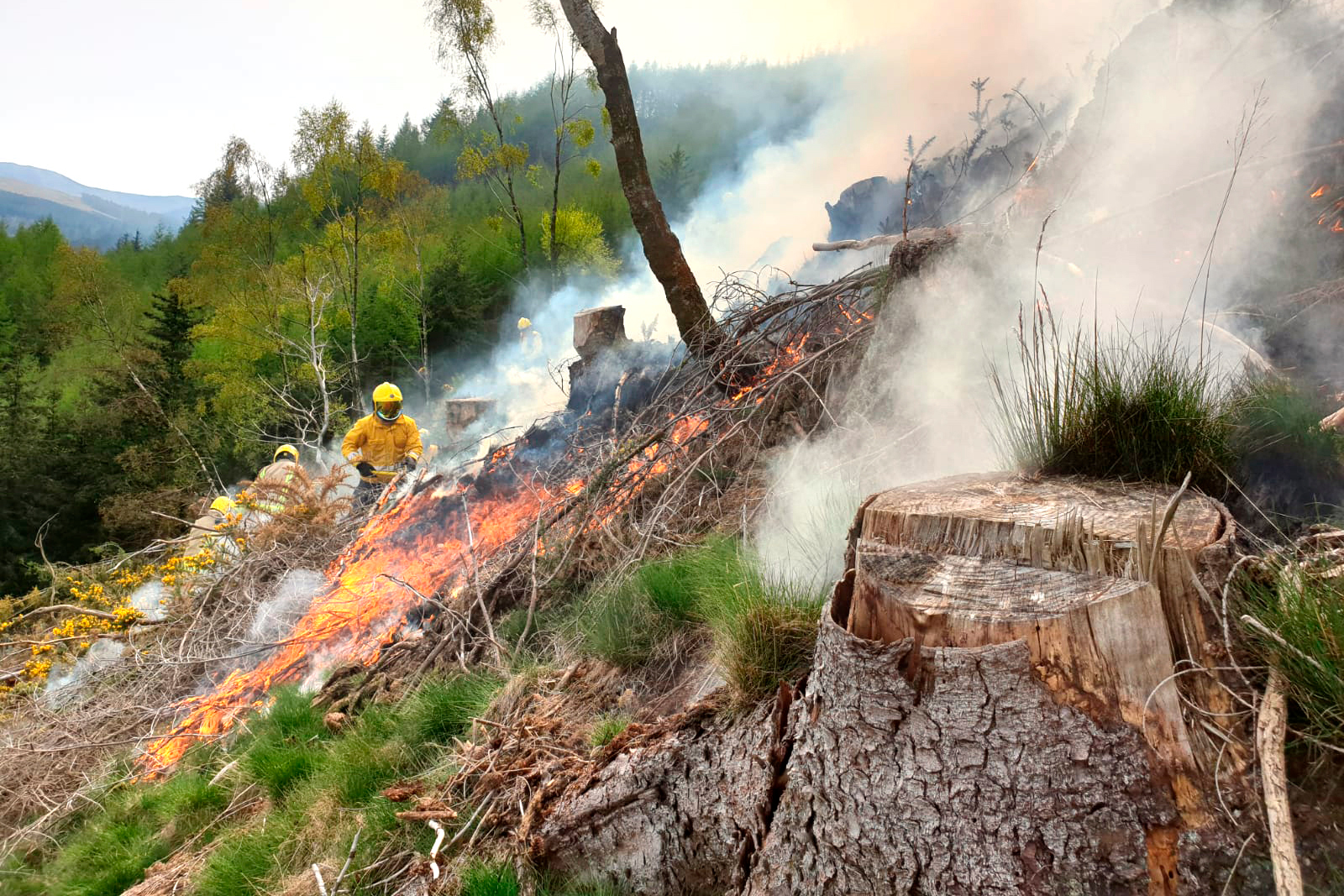 Wildfire at Whinlatter, Cumbria in 2021