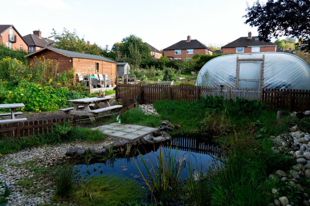 The new wildlife pond