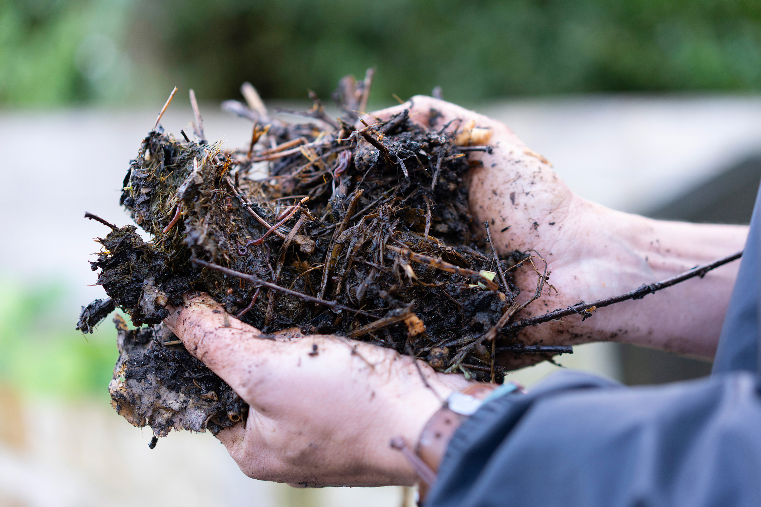 How to compost