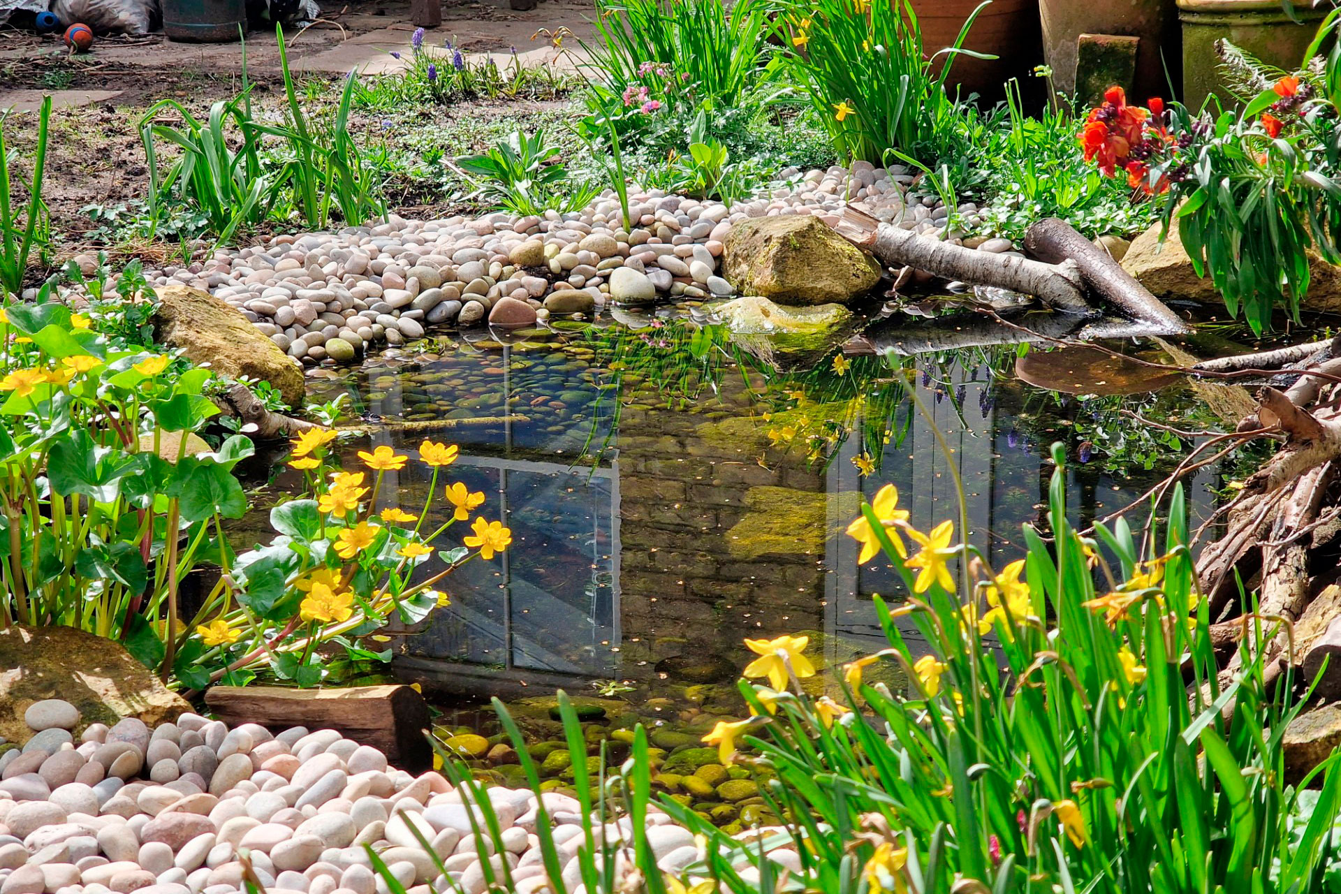 Ben’s small yet perfectly formed garden