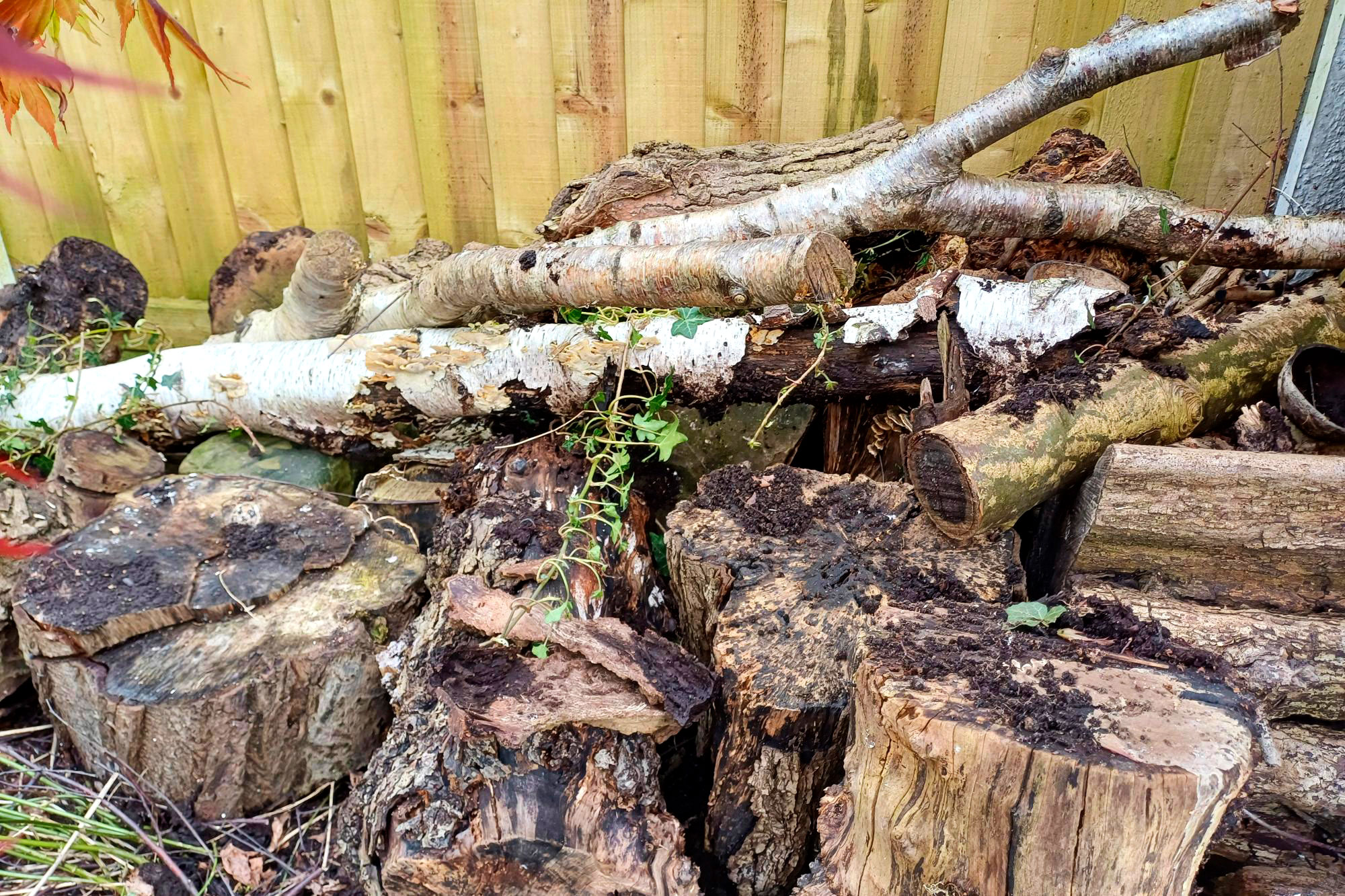 Chris’s log pile