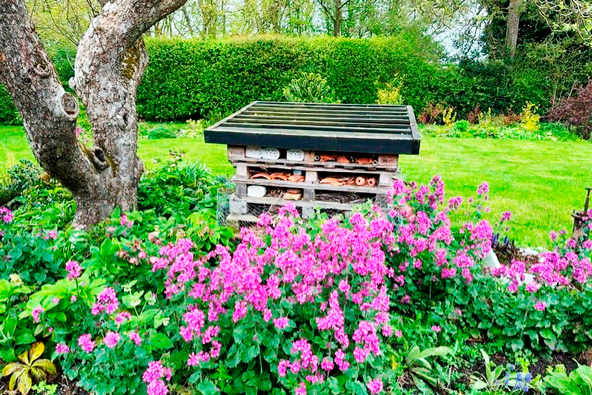 Claire’s bug hotel