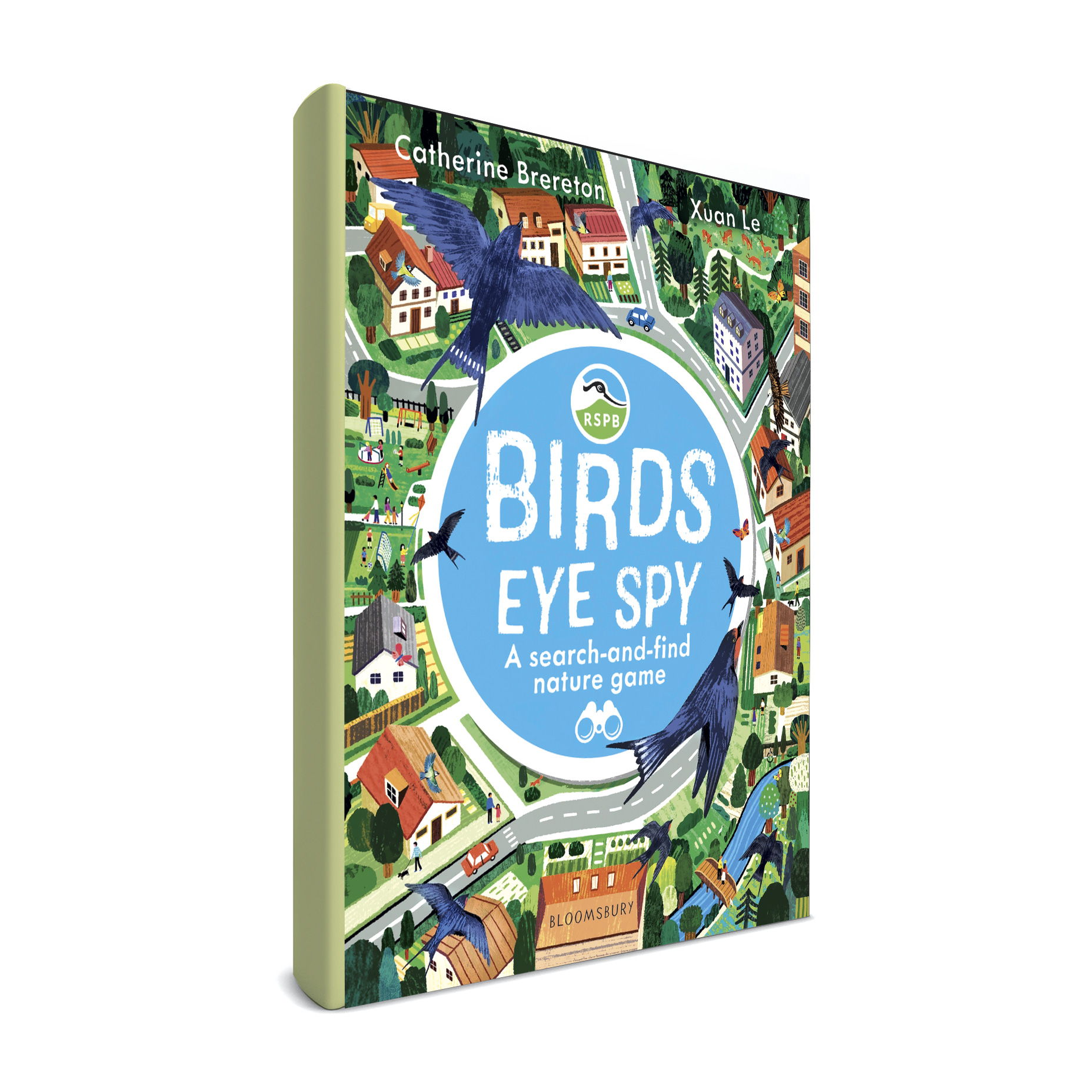 Birds Eye Spy book