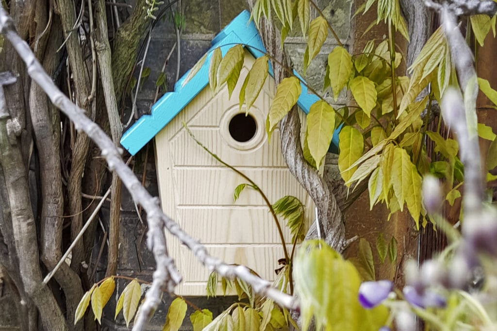 Cabin nest box in aquamarine