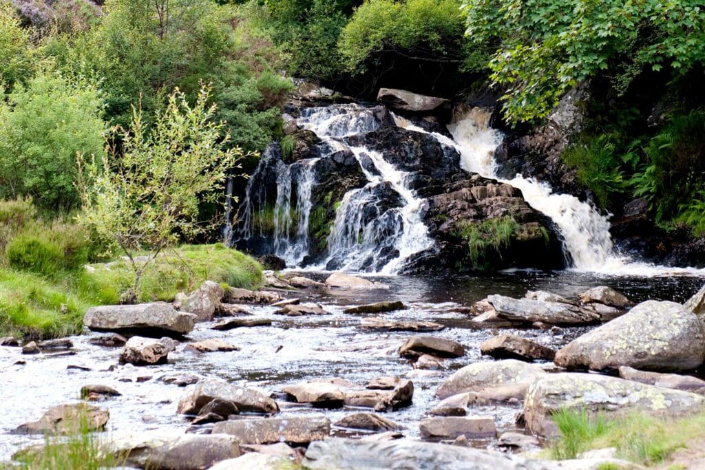 Rhiwargor Falls at Lake Vyrnwy. Photo: Eleanor Bentall (rspb-images.com)