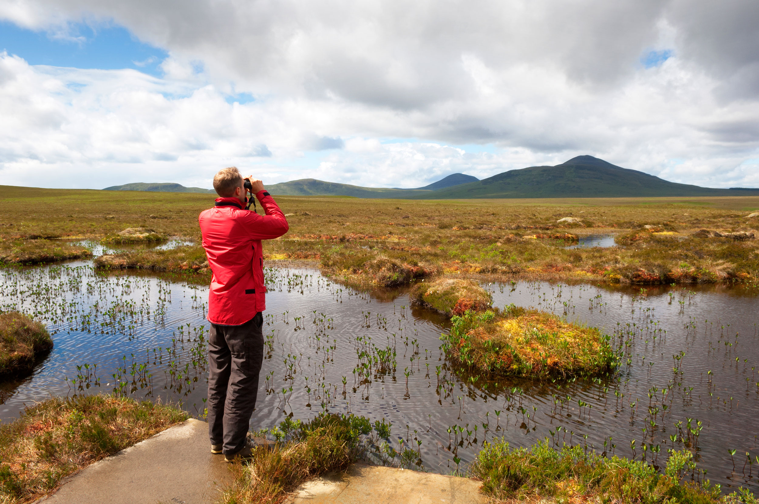 Looking out across Forsinard Flows