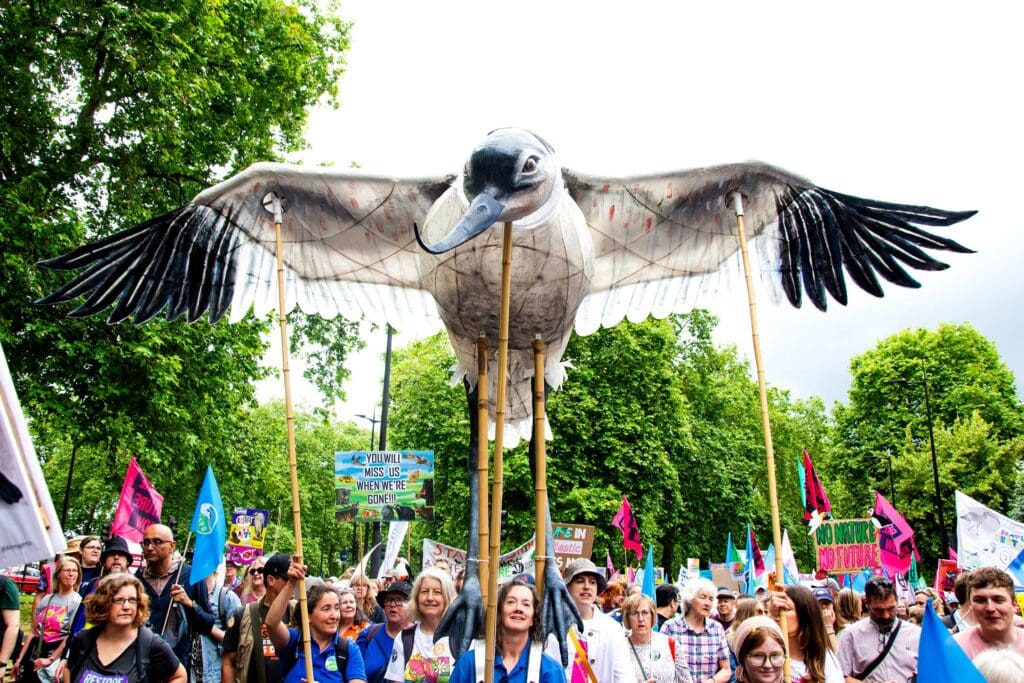 An Avocet puppet at the Restore Nature Now march.