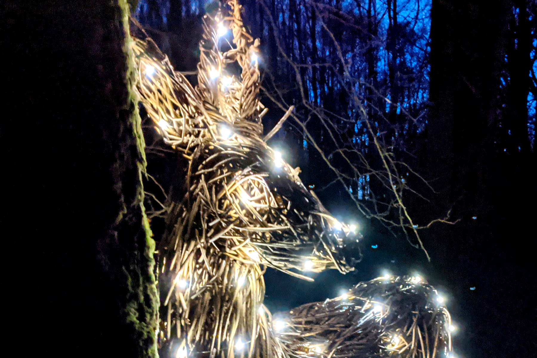 Light-up Deer